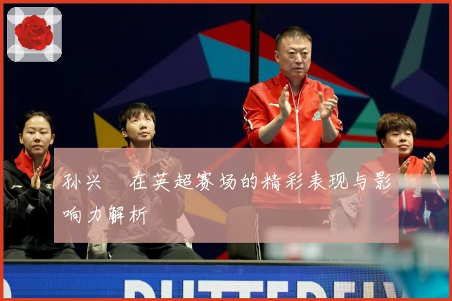 孙兴慜在英超赛场的精彩表现与影响力解析