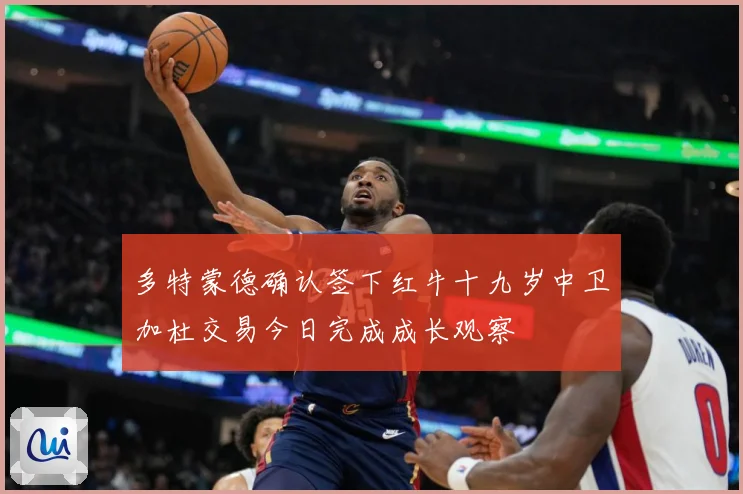 多特蒙德确认签下红牛十九岁中卫加杜交易今日完成成长观察