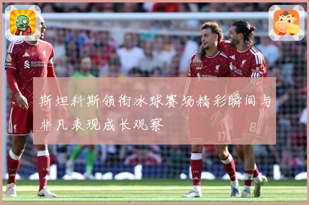 斯坦科斯领衔冰球赛场精彩瞬间与非凡表现成长观察