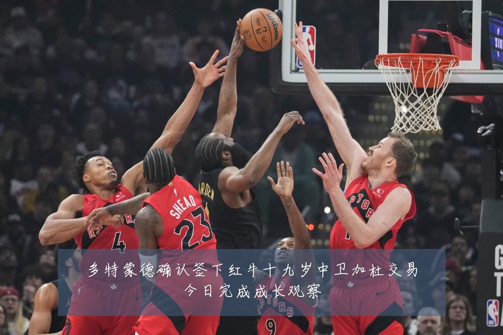 多特蒙德确认签下红牛十九岁中卫加杜交易今日完成成长观察